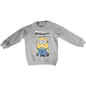 Minions Sweater/trui kids -Kids tm 8 jaar- Whaaa?!? Grijs