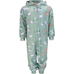 SOMEONE DREAMY Meisjes Onesie - Maat 104