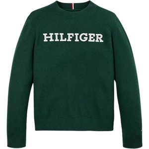 Tommy Hilfiger Monotype Regular Sweater - Kids - Boys - Groen - 10 jaar