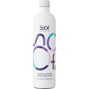 Soof Drinks Blauwe Bes 340 ml