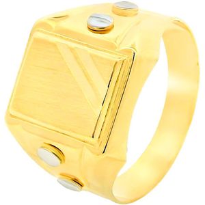 Juwelier Zwartevalk - 14 Karaat Gouden Bicolor Zegelring - 170532