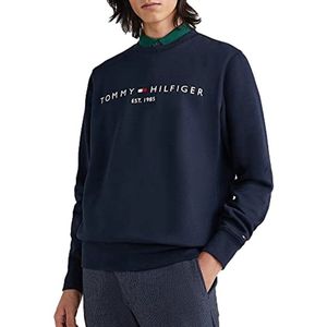 Heren Hooded Sweatshirt met Logo - Blauw (Desert Sky)