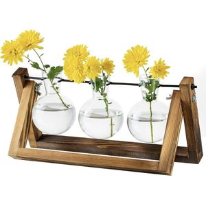 Verzamelstation voor planten Upgrade Uienvaas Planter met Houten Stand Glas Bloempot Binnen voor Tafeldecoratie Vintage Woonkamer Kantoor Accessoires 3 Bollen