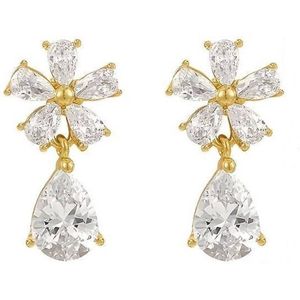 Lucardi - Stalen oorbellen goldplated met hanger zirkonia