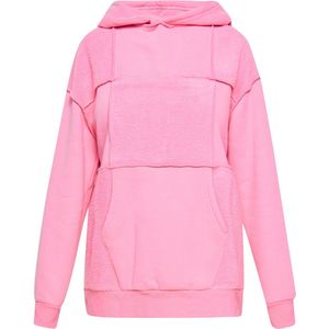 usha Hoodie