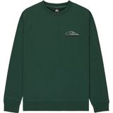 Quiksilver - Basic Graphic - Sweatshirt - Groen - Regular Fit
