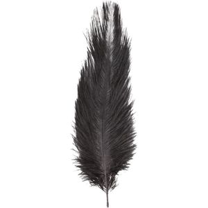 Chaks Struisvogelveer/sierveer - zwart - 55-60 cm - decoratie/hobbymateriaal