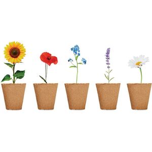 Kweekset bloemen - Moestuin - Kweekbak - Moestuin zaden - Moestuin artikelen - Lavendel - Vergeet-mij-nietje - Zonnebloem - Margriet - Klaproos - Plantensteker - Kokostabletten - Set - 20-delig