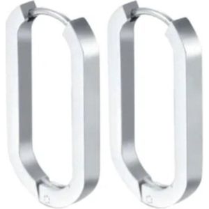 Oorbellen-ovaal-zilver kleurig- roestvrij staal- rvs- stainless steel