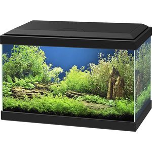 Ciano Aqua 20 Aquarium - 40x 20x31 cm - 17L - Zwart