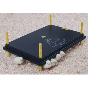 Kuikens Warmteplaat 25x25 Cm – Veilige Kuikenverwarmer Met Traploze Temp Regeling (38-52°C) & In Hoogte Verstelbaar, Voor 15 Kuikens, Ideaal Voor Kippen, Kwartels En Meer