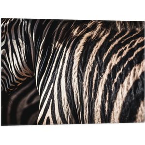 Vlag - Close-up van Strepen van een Zebra - 80x60 cm Foto op Polyester Vlag