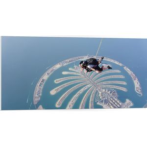 PVC Schuimplaat- Parachutespringer boven de Palm van Dubai - 100x50 cm Foto op PVC Schuimplaat