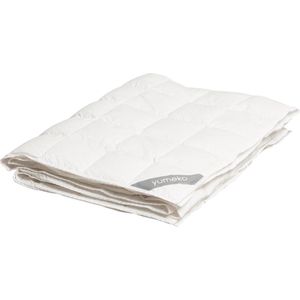 Yumeko dekbed ganzendons zomer 200x220 - Biologisch & ecologisch