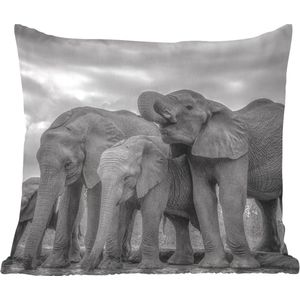 Sierkussens - Kussentjes Woonkamer - 60x60 cm - Olifant - Dieren - Water - Zwart wit