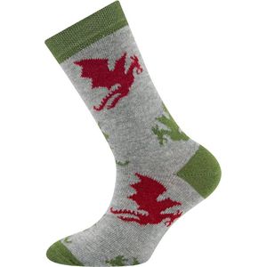 Ewers Kindersok - Lichtgrijs met Draken Rood/Mosgroen-31/34