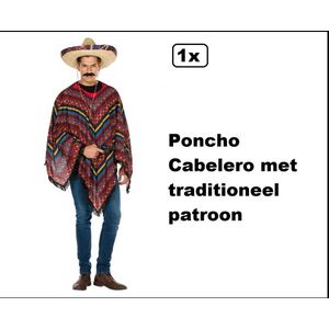 Poncho Cabelero - Mexico Themafeest party carnaval fun festival evenement