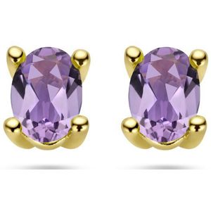YO&NO - Oorknoppen - amethist - Paars - 4 bij 6mm - Goud