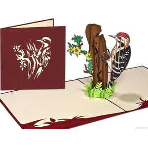 Popcards popupkaarten – Verjaardagskaart Vogel Bonte Specht Vrijheid Felicitatie Verjaardag Verhuiskaart Woodpecker pop-up kaart 3D wenskaart