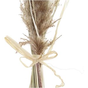 Boeket DKD Home Decor Droog Beige Bruin Gedroogde bloem (12 x 3 x 53 cm)