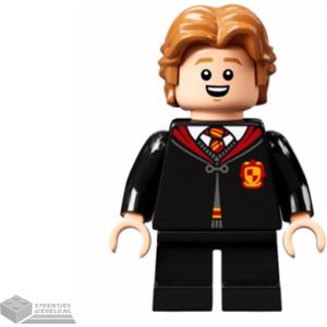 LEGO Minifiguur hp304 Thema Harry Potter