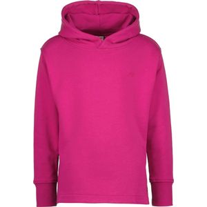Vingino G-BASIC-HOODY-SLIT Meisjes Trui - Maat 176
