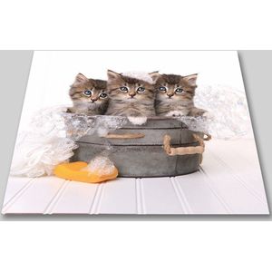 Papillon Wasmachine Beschermer - Antislip mat - 60x60 cm - Papillon Poesjes