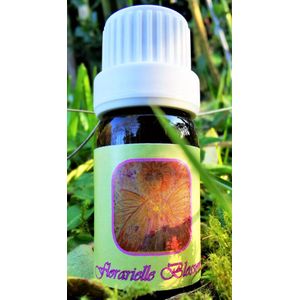 Florarielle Blossom Oil - Energetische Aromatherapie - Chakra Olie - In the Light of the Goddess by Lieve Volcke - 10 ml