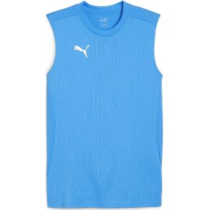 PUMA Unisex Teamfinal Training Jersey Sl Tee