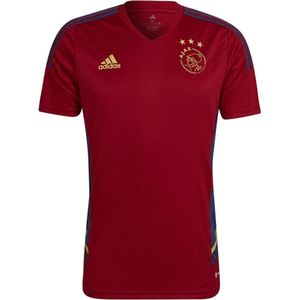 adidas Ajax Junior Trainingsshirt