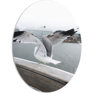 PVC Schuimplaat Ovaal - Meeuw op Rand van Boot met Open Vogels - 51x68 cm Foto op Ovaal (Met Ophangsysteem)