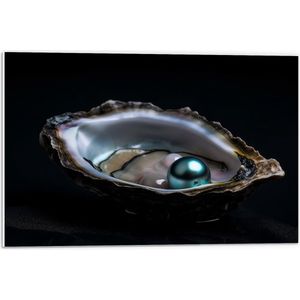 PVC Schuimplaat- Parel in Opengebroken Schelp op Zwarte Achtergrond - 60x40 cm Foto op PVC Schuimplaat