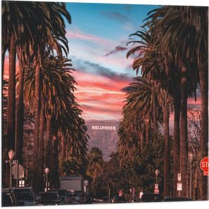 Vlag - Los Angeles Hollywood met Palmbomen - 80x80 cm Foto op Polyester Vlag