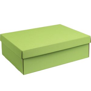 Luxe doos met deksel karton LICHTGROEN 30,5x21,5x10cm (35 stuks)
