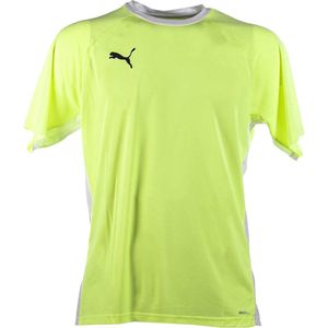 Puma Teamliga T-shirt Met Korte Mouwen