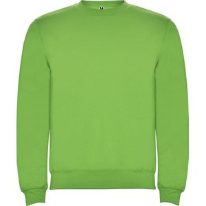 Oasis Groen kinder unisex OEKO TEX sweater Classica merk Roly 4 jaar 98-104