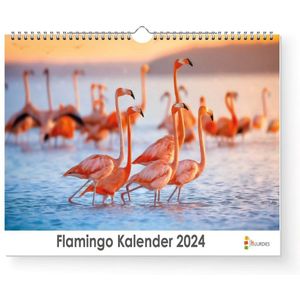 Huurdies - Flamingo Kalender - Jaarkalender 2024 - 35x24 - 300gms