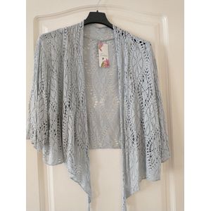 Dames vest Resa effen licht grijs model XL/XXL Curvy Mode