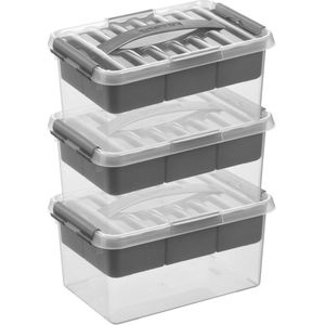 3x Sunware Q-Line opberg boxen/opbergdozen met vakverdeling/vakken tray 6 liter 30 x 20 x 14 cm kunststof - Gereedschapskist - Opslagbox - Opbergbak kunststof transparant/zilver