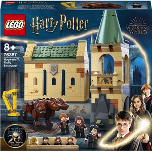 LEGO Harry Potter Zweinstein: Pluizige Ontmoeting - 76387