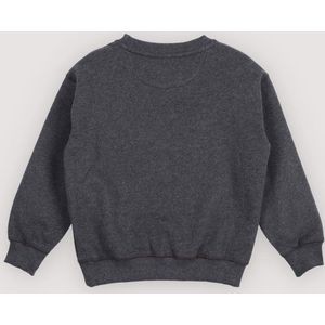 Logo sweater galactic grey melange 4y