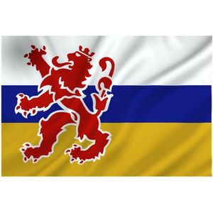Provincie Limburg vlag 100 x 150 cm - Provincie vlaggen