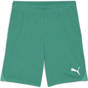 Puma Teamgoal Short Heren - Groen | Maat: 3XL