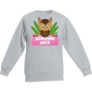 Jumping Jack sweater grijs voor meisjes - paarden trui - kinderkleding / kleding 152/164