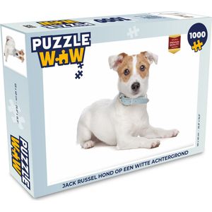 Puzzel Jack Russel hond op een witte achtergrond - Legpuzzel - Puzzel 1000 stukjes volwassenen