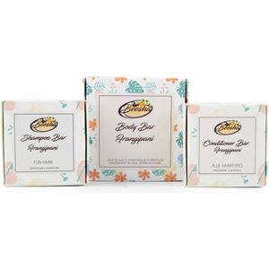 Beesha Bundel Frangipani | Bevat een Shampoo, Conditioner, en Body Bar | 100% Plasticvrije en Natuurlijke Verzorging