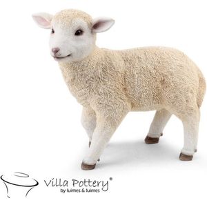 Staand Schaap 24x12x23