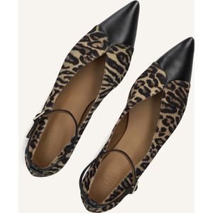 Toral - Cristelle - Ballerina's - Camel - Leer