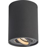 QAZQA rondoo up - Moderne Dimbare LED Smart Plafondspot | Spotje | Opbouwspot incl. wifi met Dimmer - 1 lichts - Ø 95 mm - Donkergrijs - Woonkamer | Slaapkamer | Keuken