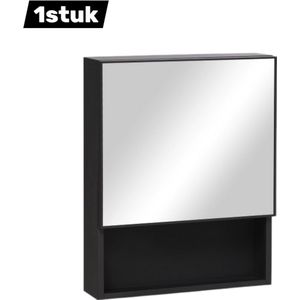 Spiegelkast RVS wandkast - met 2 binnenwanden - open glazen wand - voor badkamer - 46x13,5x58 cm - 1 stuk